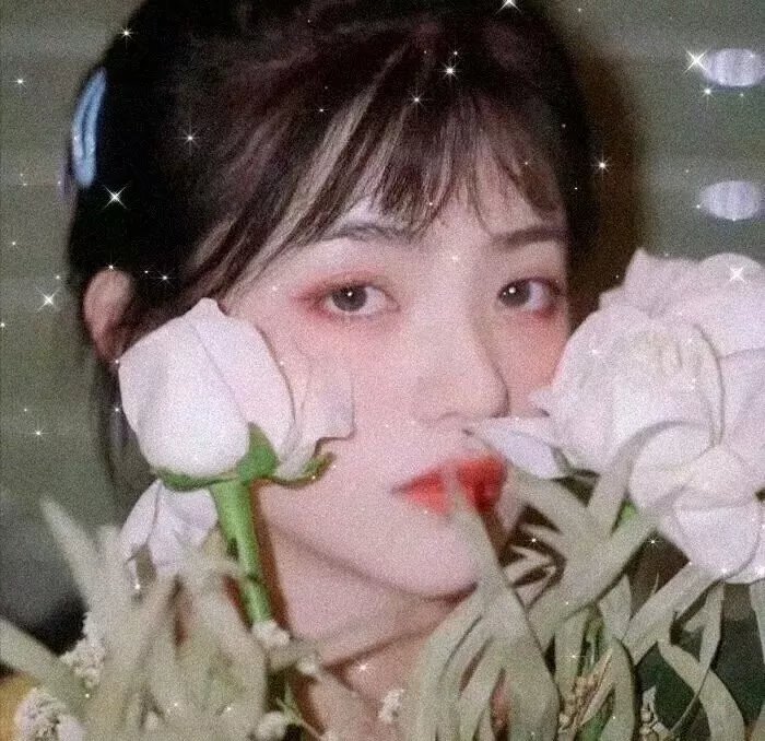 命运新章最终回响